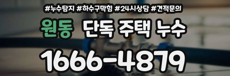 원동 단독 주택 누수