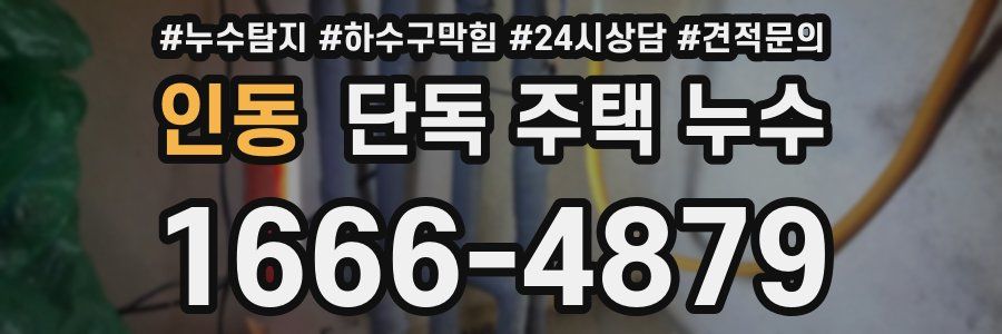 인동 단독 주택 누수