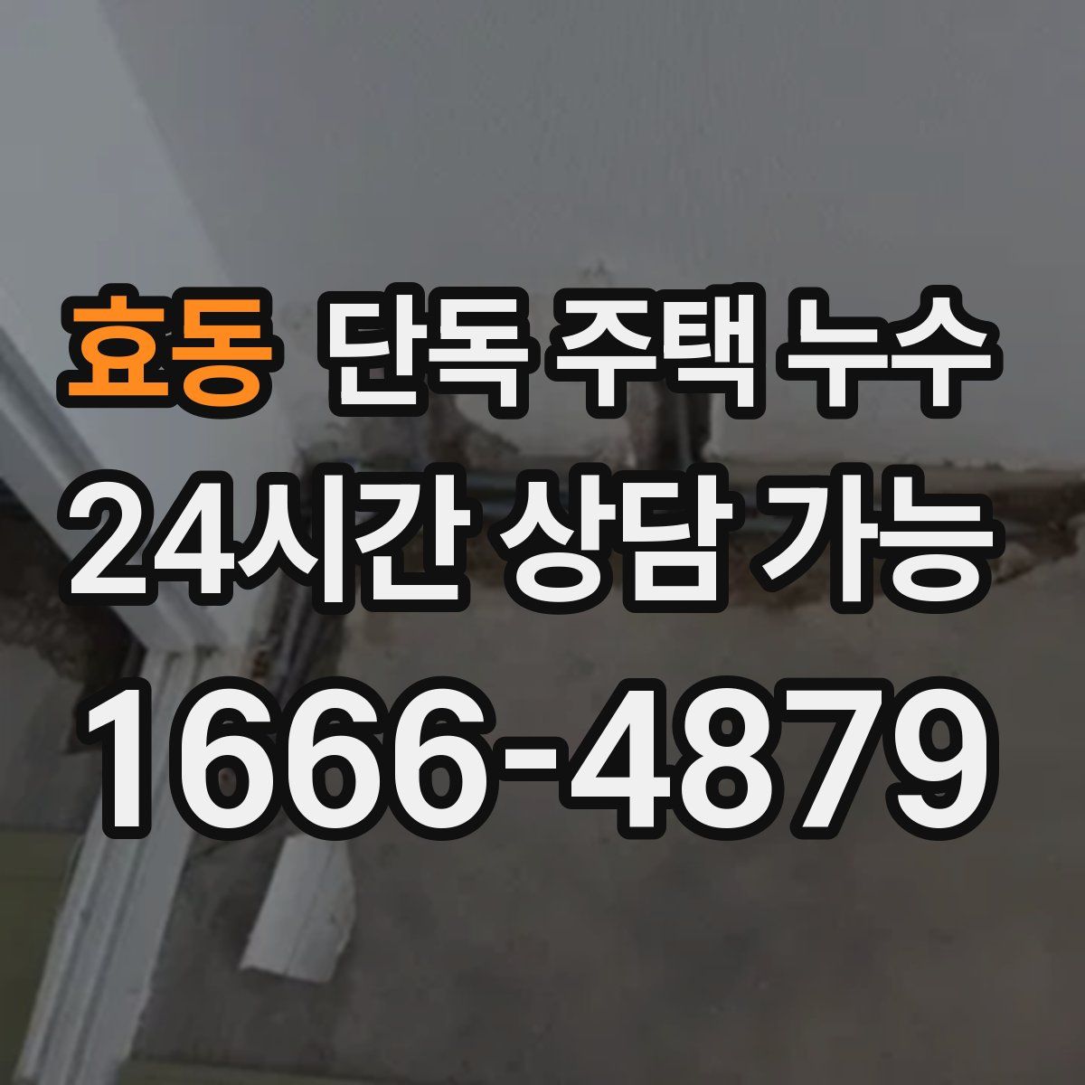 효동 단독 주택 누수