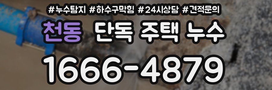 천동 단독 주택 누수
