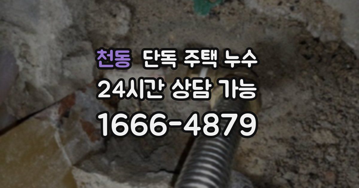 천동 단독 주택 누수