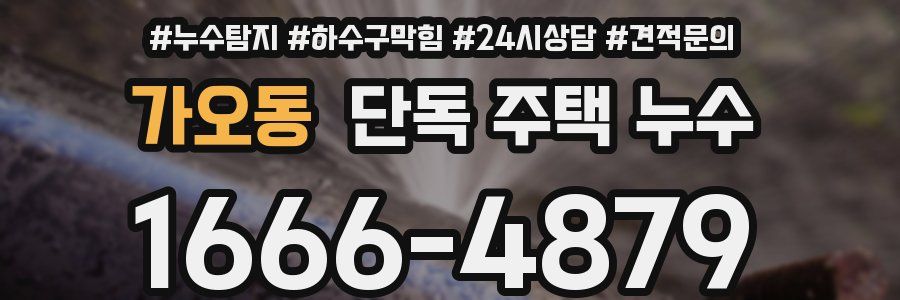 가오동 단독 주택 누수
