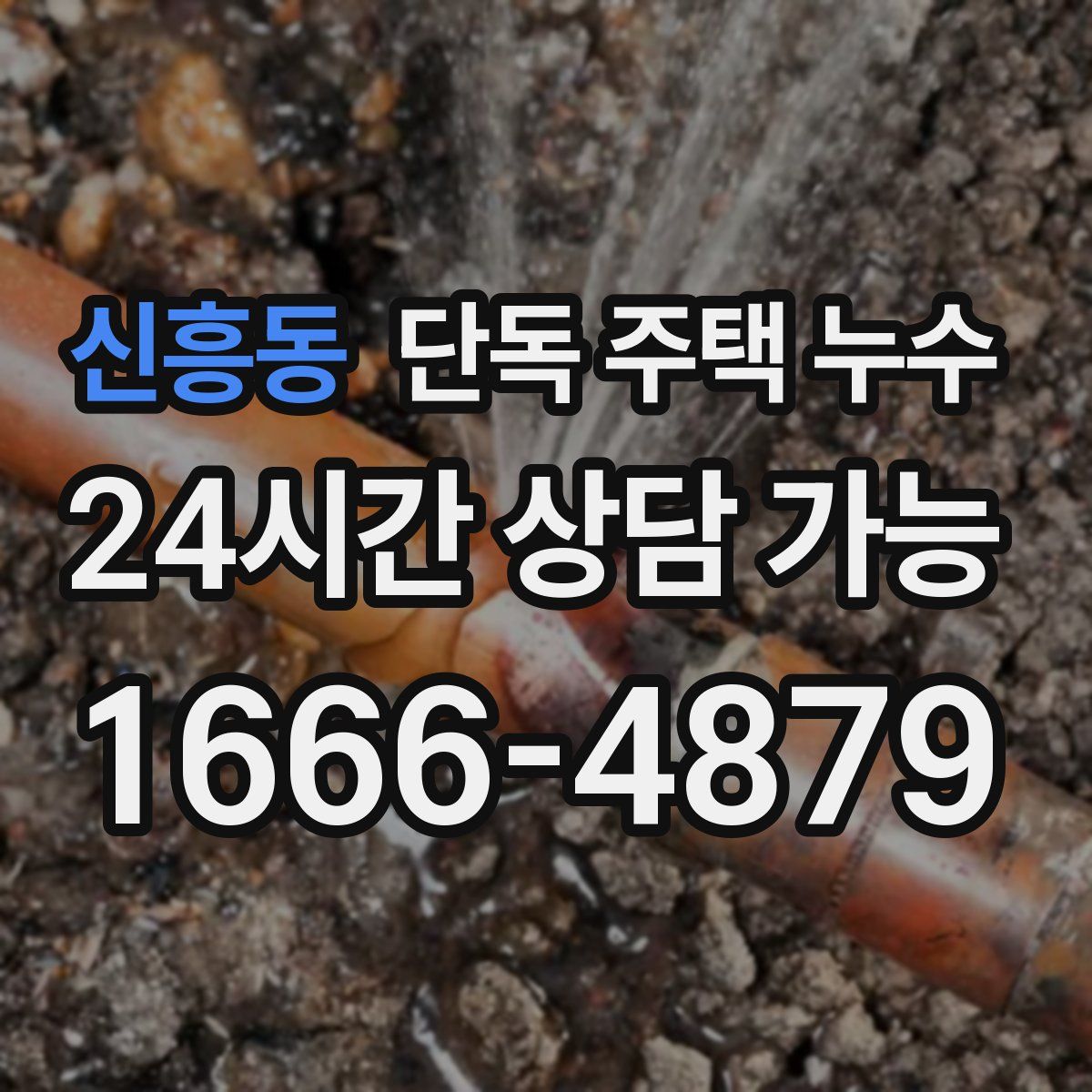 신흥동 단독 주택 누수