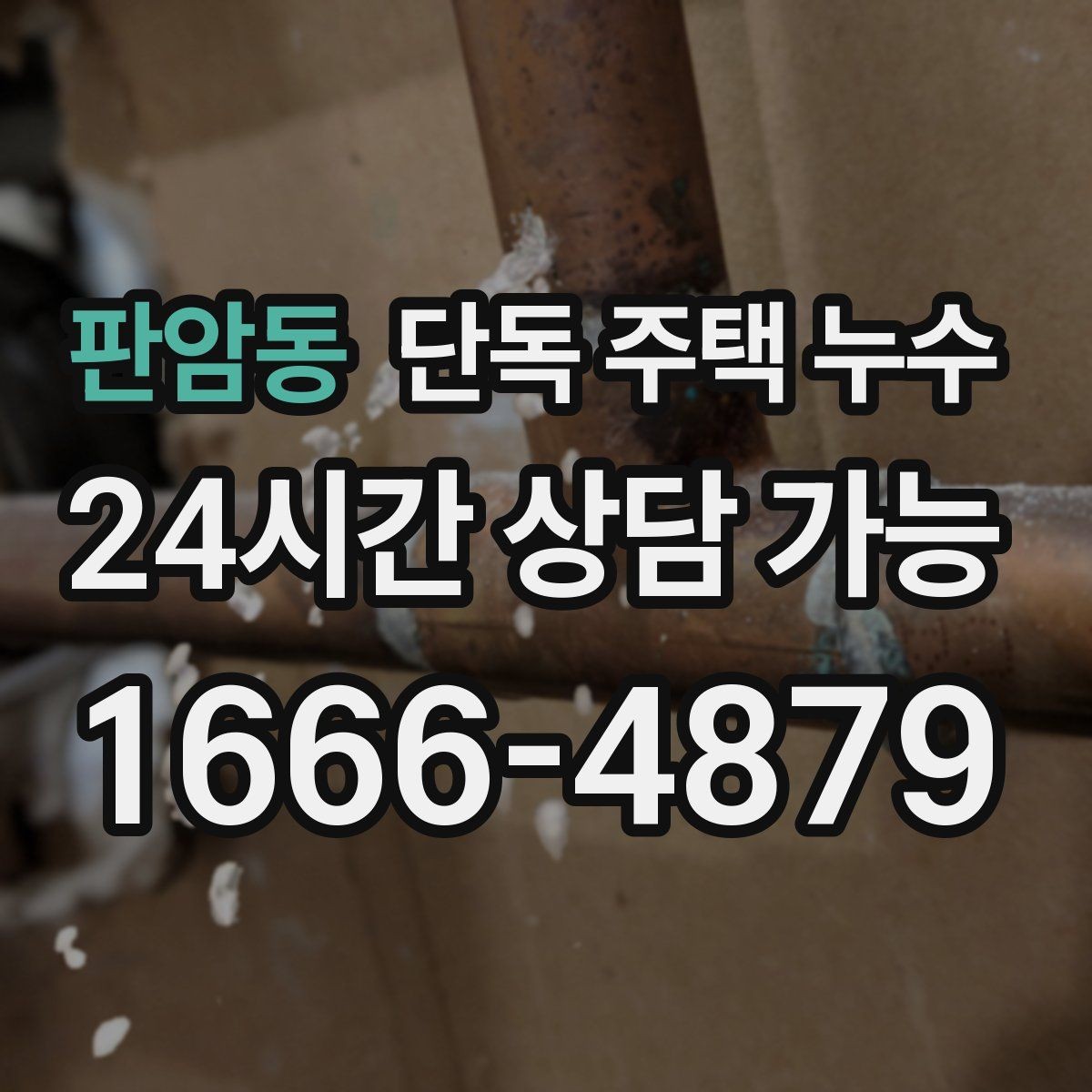 판암동 단독 주택 누수 평소에도 젖으면 체크해야 할 지점