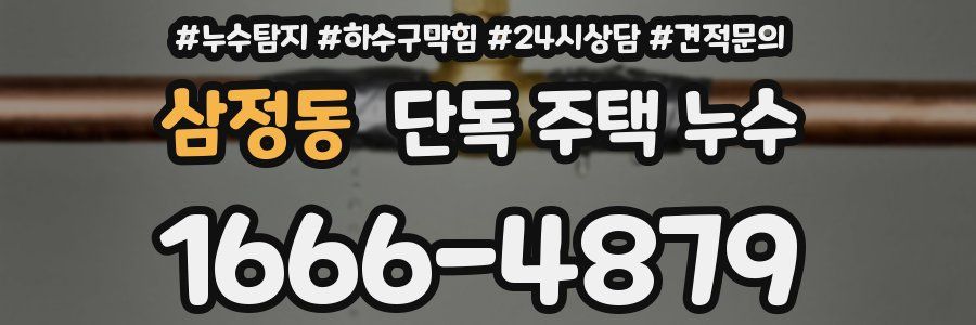 삼정동 단독 주택 누수