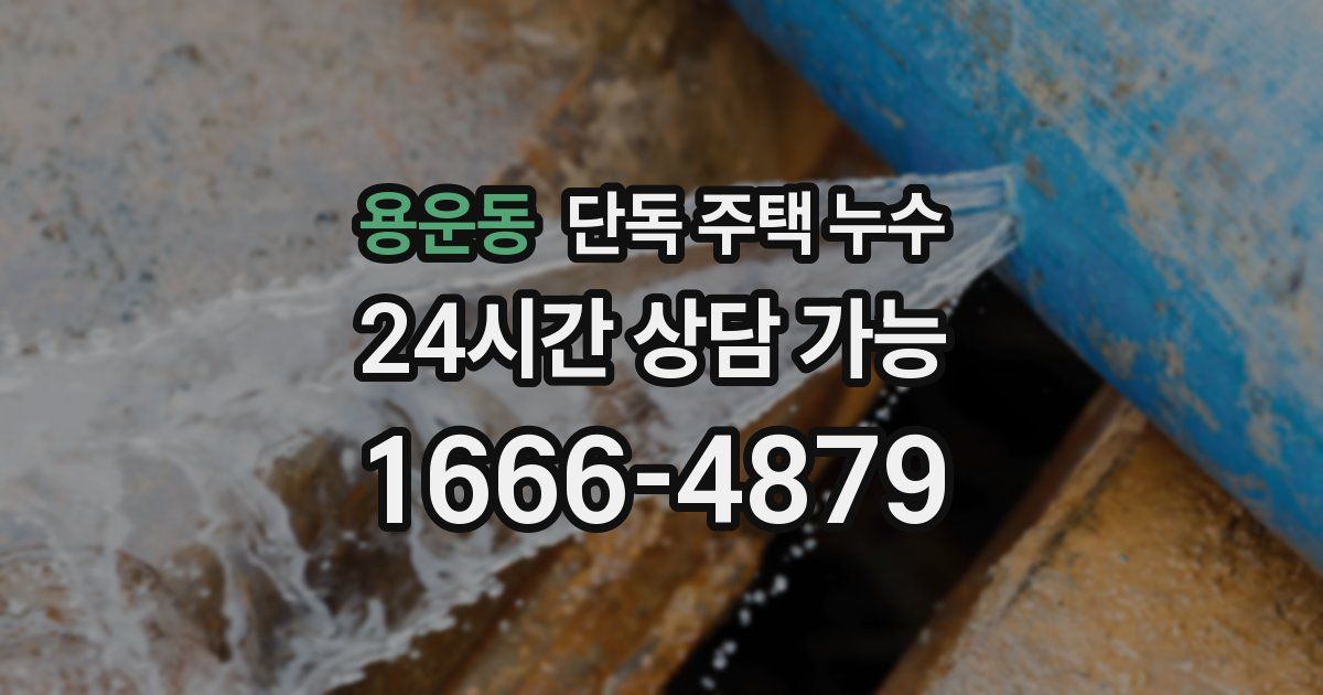 용운동 단독 주택 누수