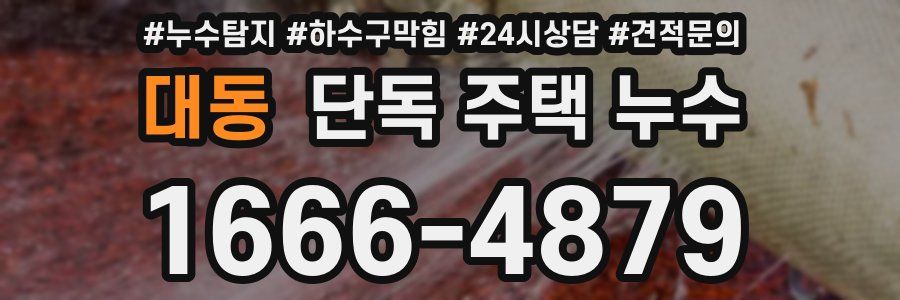 대동 단독 주택 누수