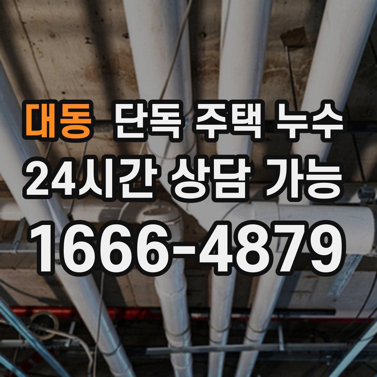 대동 단독 주택 누수