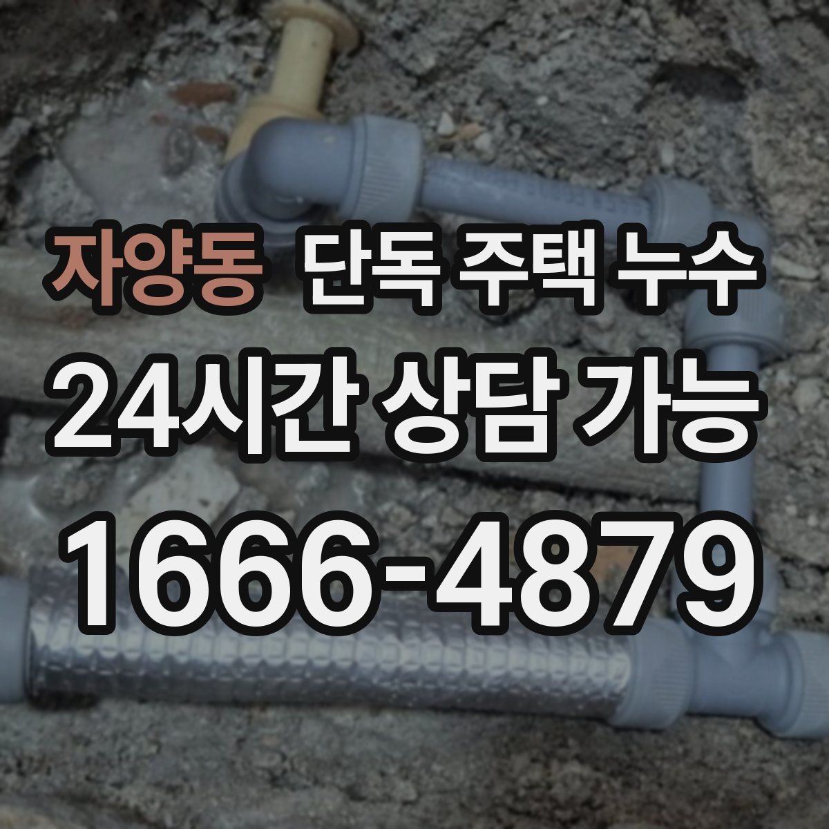 자양동 단독 주택 누수 거실만 젖는다면 지붕을 의심해야 할까