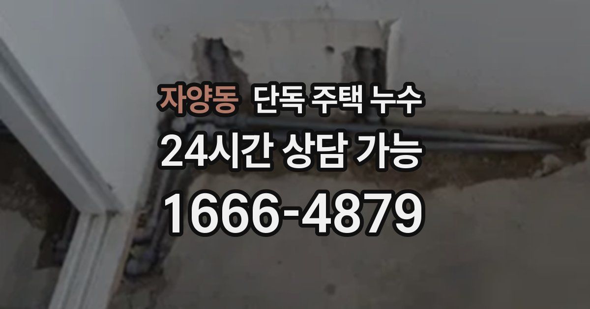 자양동 단독 주택 누수