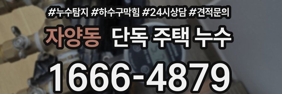 자양동 단독 주택 누수