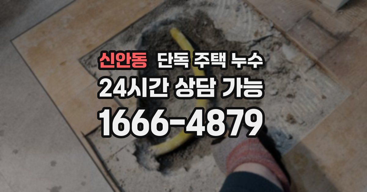 신안동 단독 주택 누수