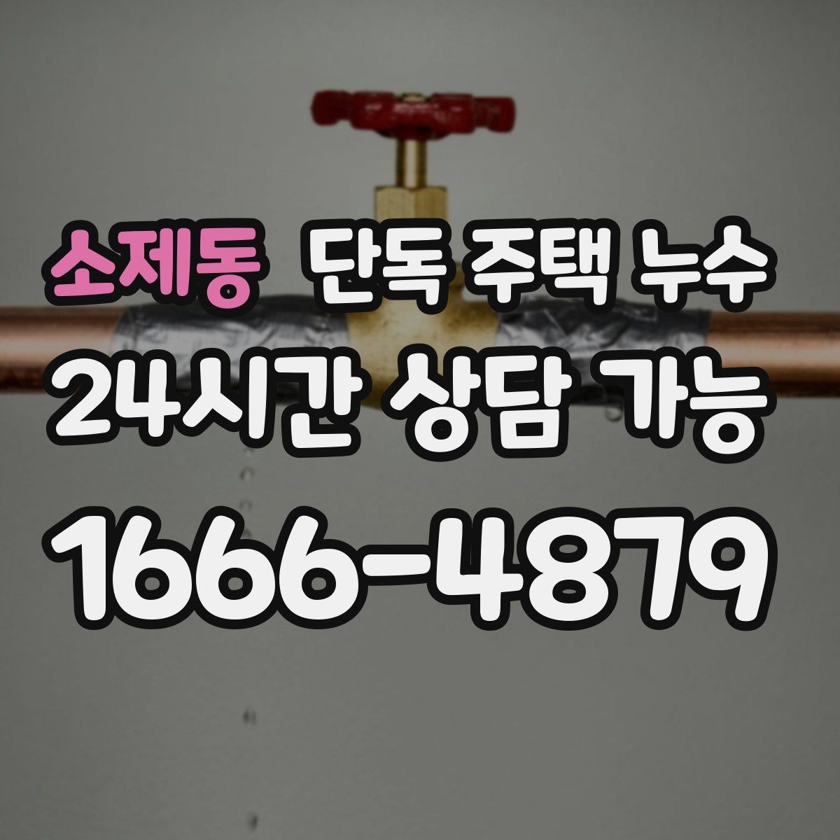 소제동 단독 주택 누수 위층 없는 단독집도 욕실 누수가 생긴다