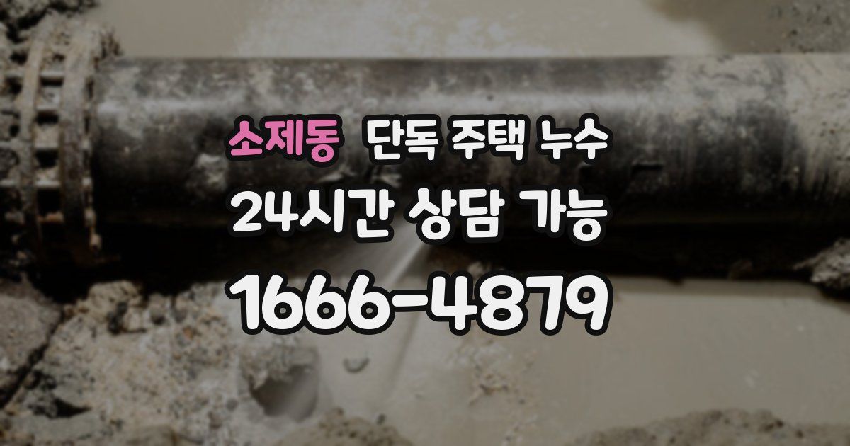 소제동 단독 주택 누수