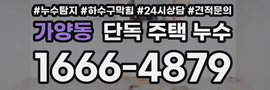 가양동 단독 주택 누수