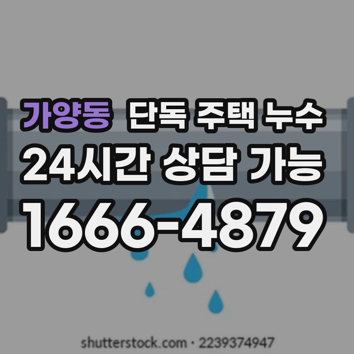 가양동 단독 주택 누수