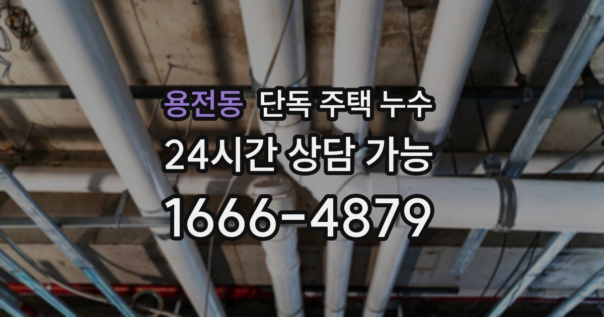 용전동 단독 주택 누수