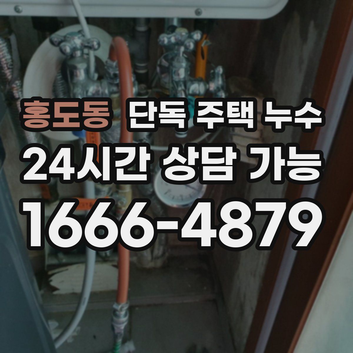 홍도동 단독 주택 누수