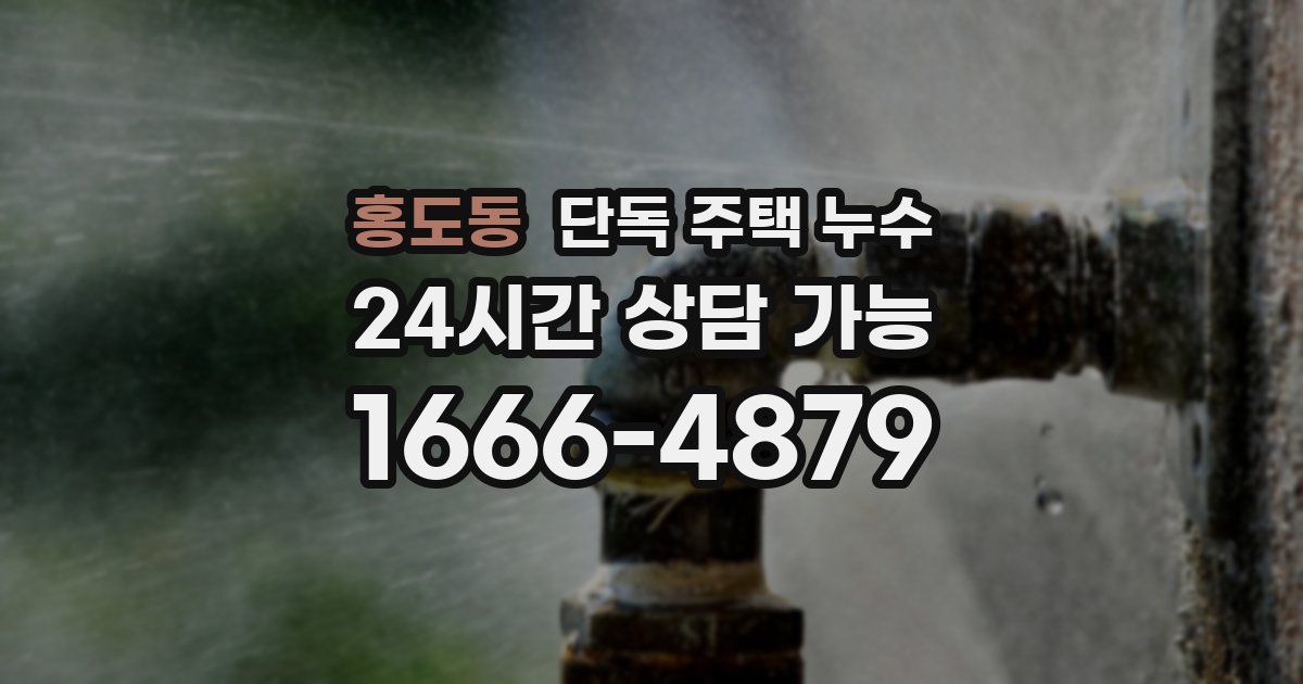 홍도동 단독 주택 누수
