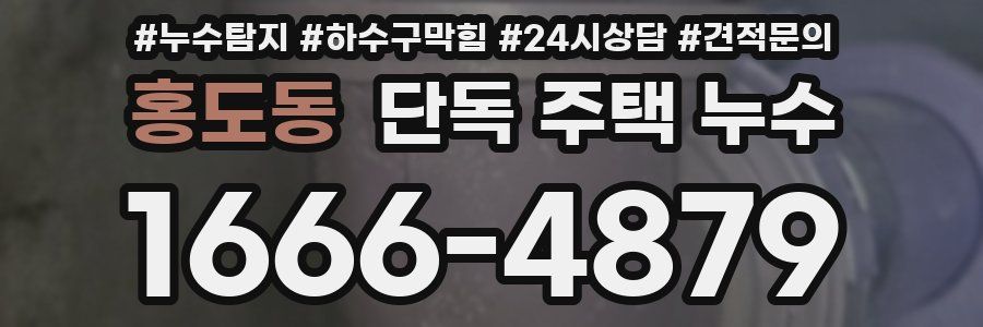 홍도동 단독 주택 누수