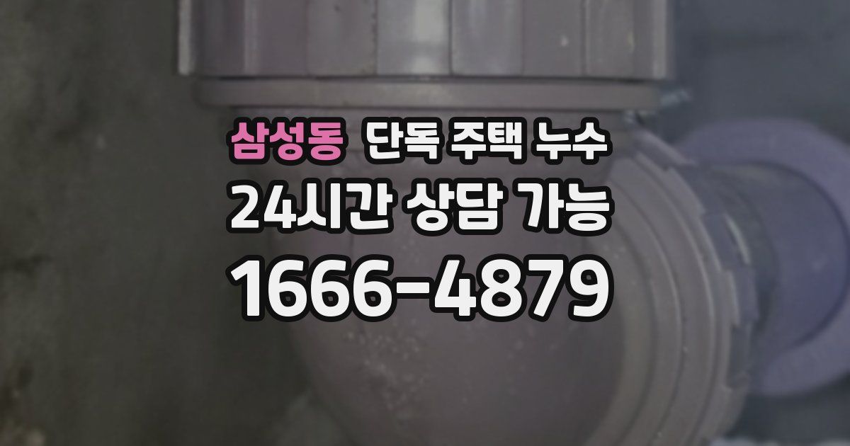 삼성동 단독 주택 누수