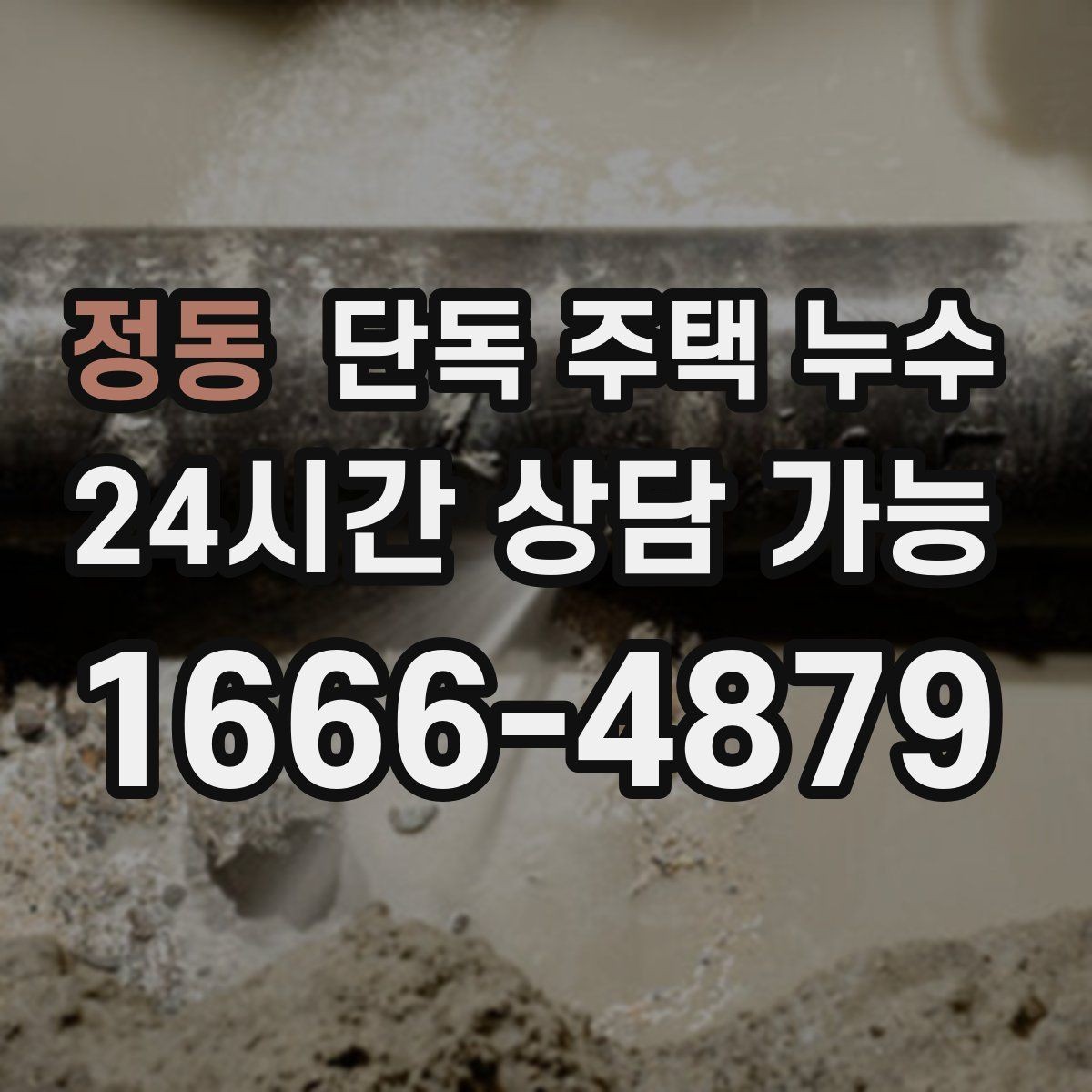 정동 단독 주택 누수 지붕에서 물 새는 증상 점검 포인트