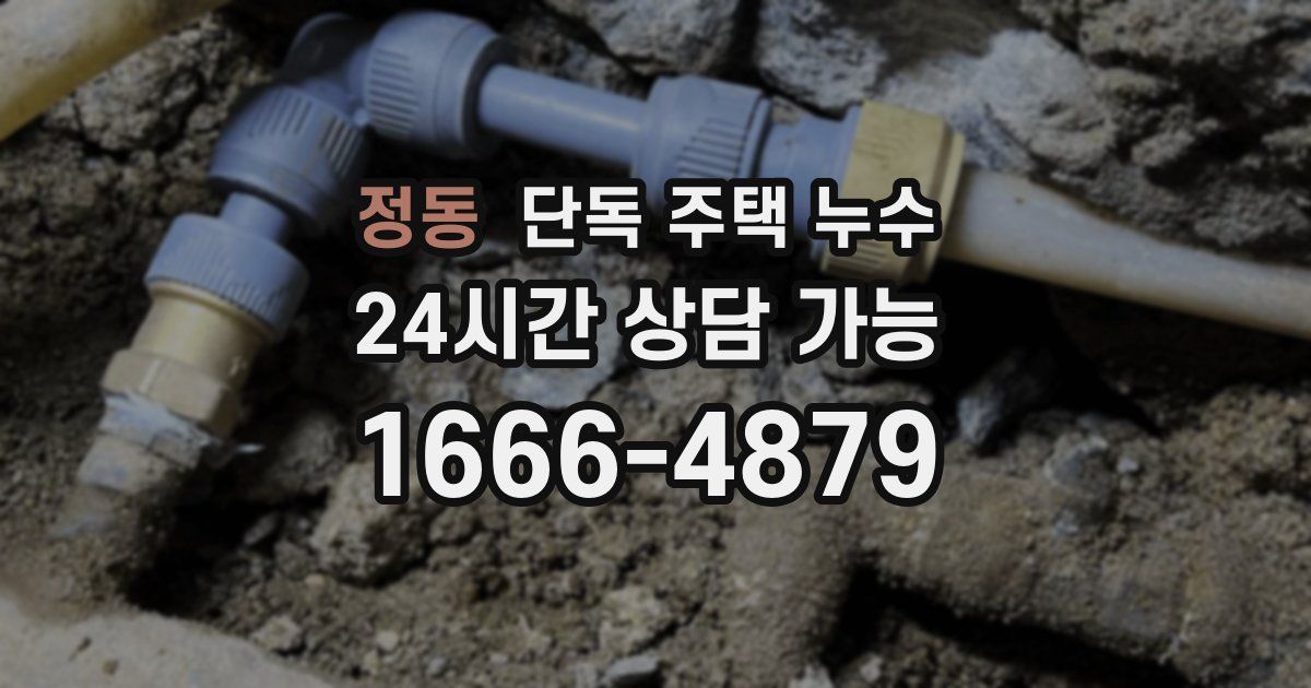 정동 단독 주택 누수