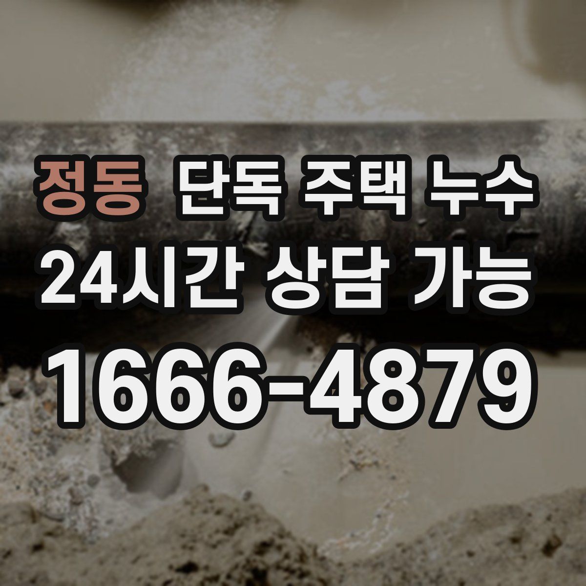 정동 단독 주택 누수