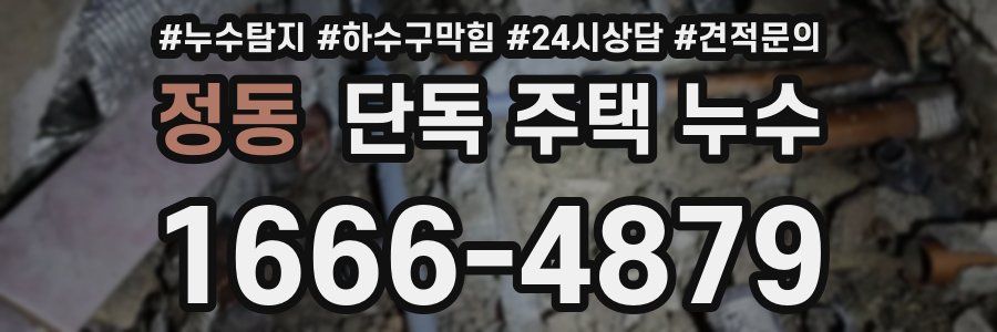정동 단독 주택 누수