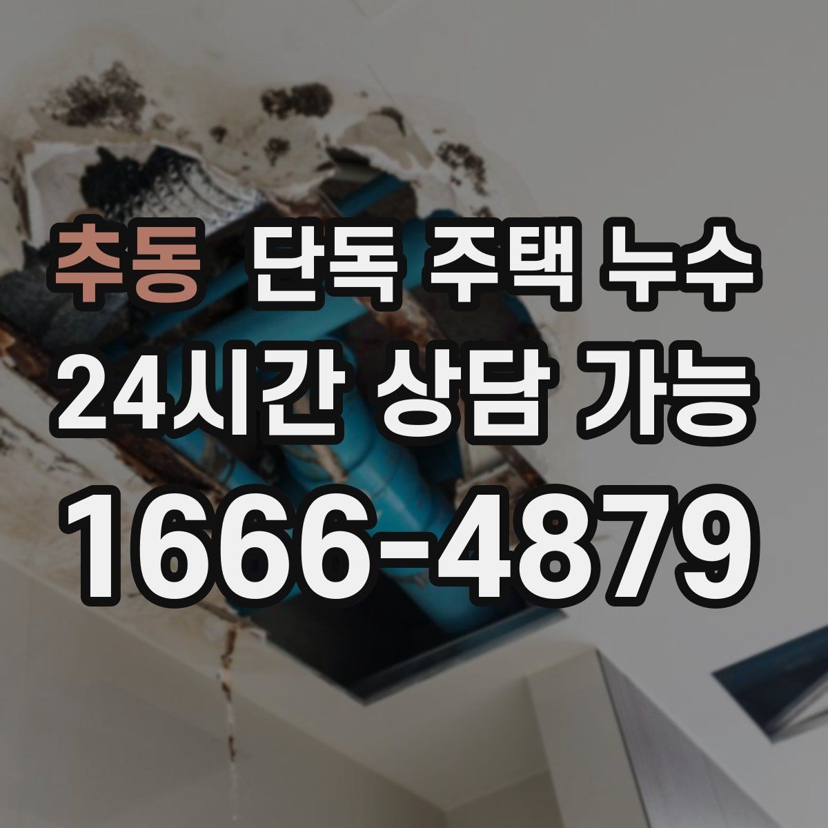 추동 단독 주택 누수