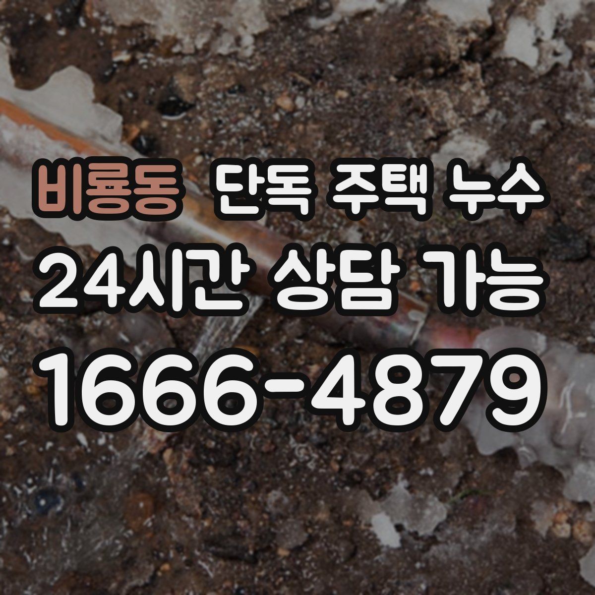 비룡동 단독 주택 누수 처마 배수 라인이 새는지 확인하기