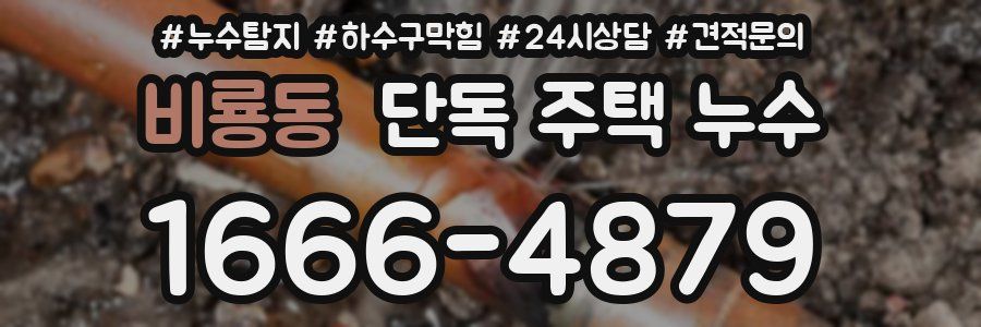비룡동 단독 주택 누수