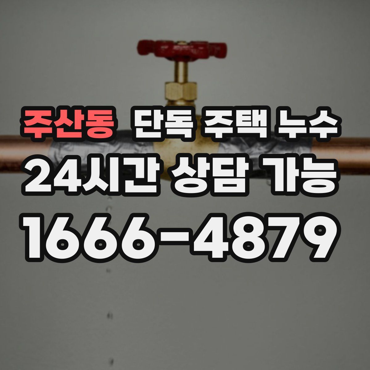 주산동 단독 주택 누수
