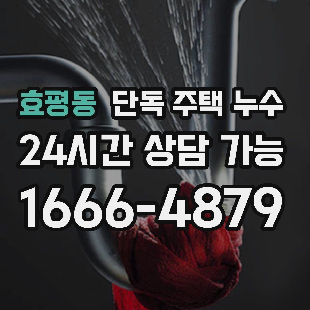 효평동 단독 주택 누수 안방 벽 모서리 곰팡이 반복될 때