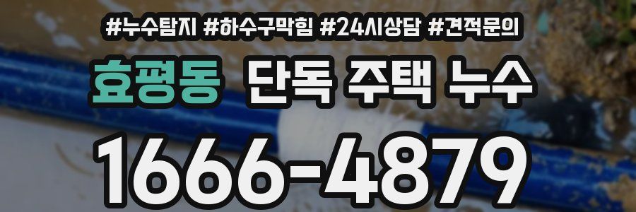 효평동 단독 주택 누수