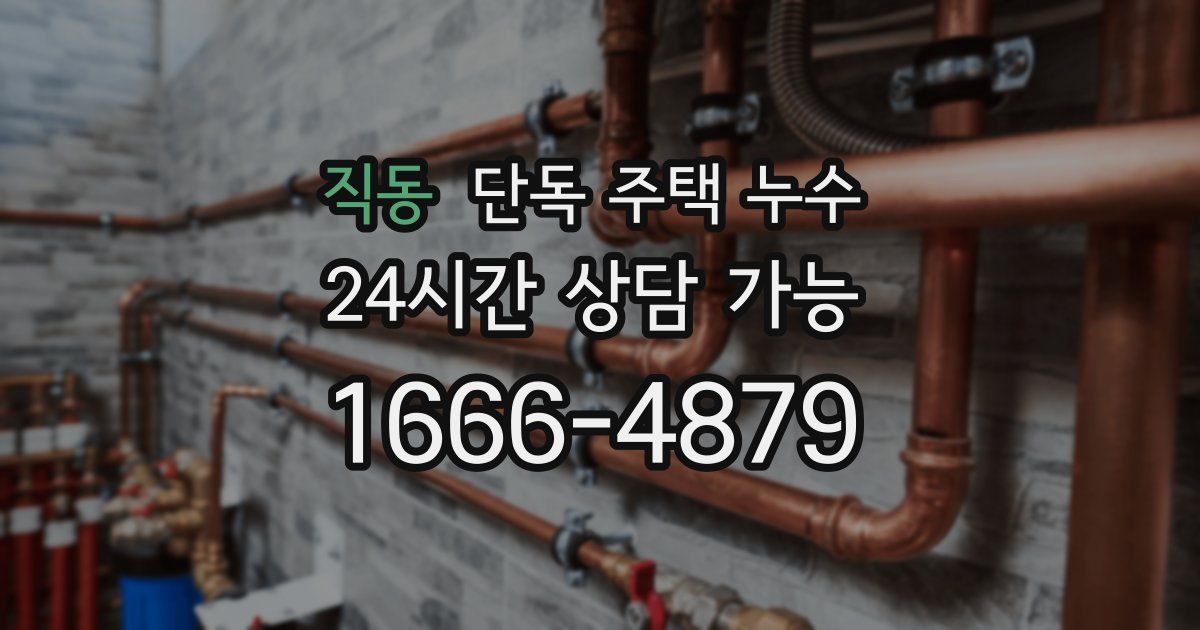 직동 단독 주택 누수