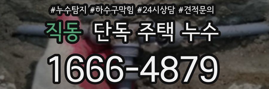 직동 단독 주택 누수