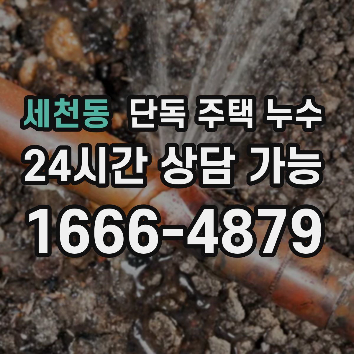 세천동 단독 주택 누수