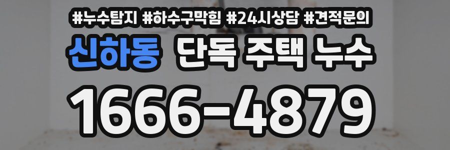 신하동 단독 주택 누수