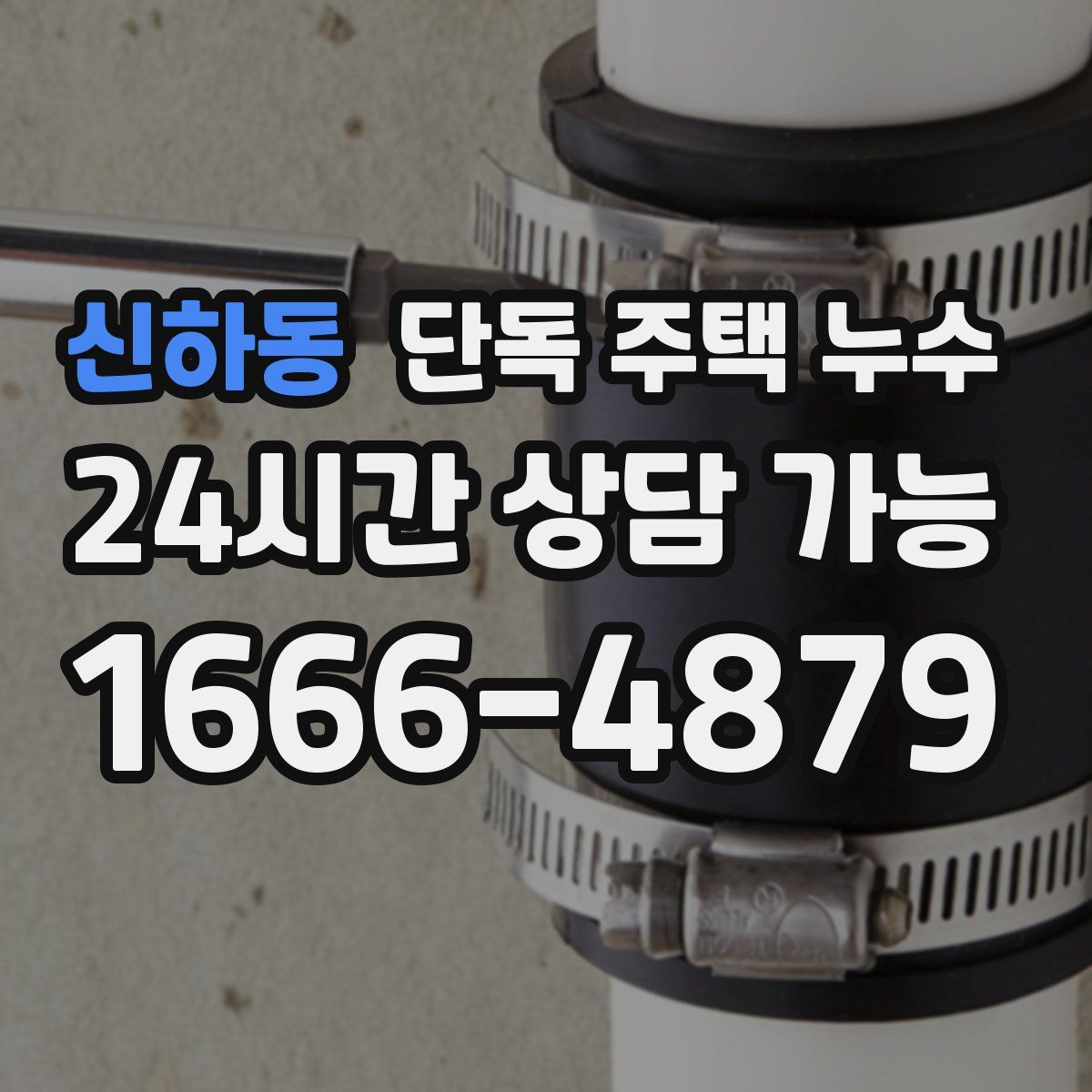 신하동 단독 주택 누수