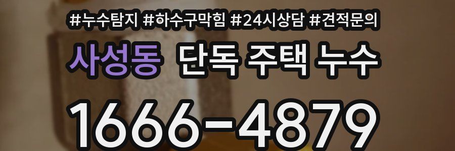 사성동 단독 주택 누수