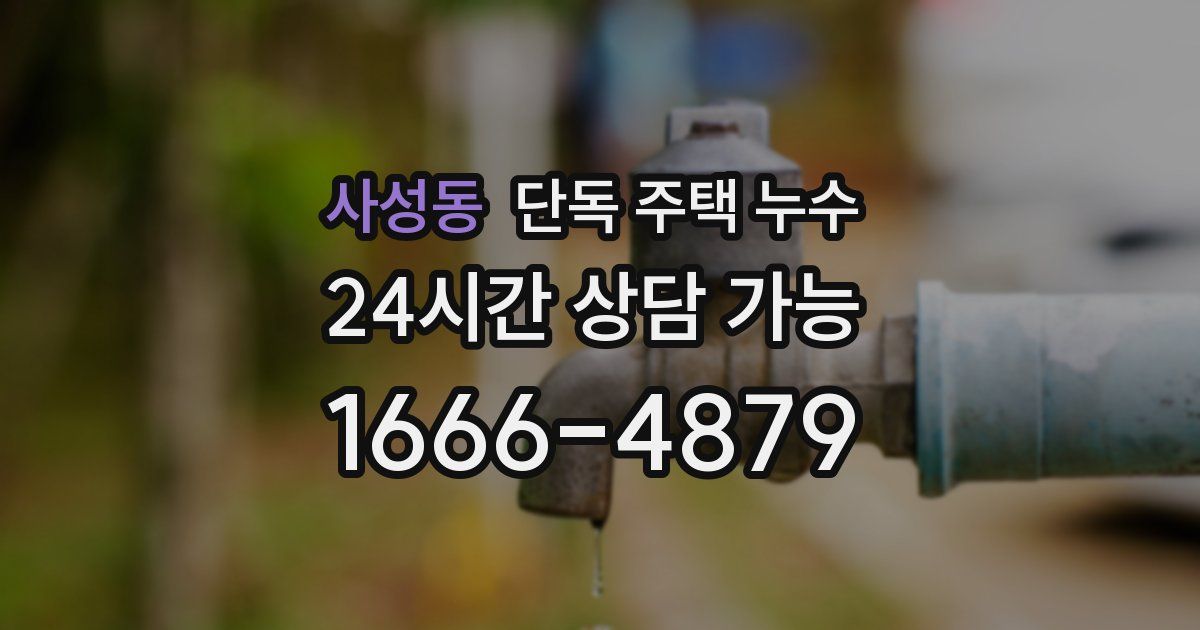 사성동 단독 주택 누수