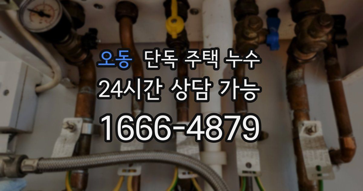 오동 단독 주택 누수