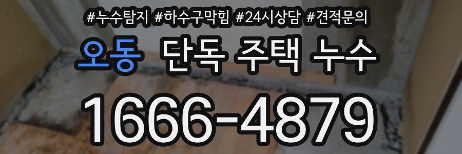 오동 단독 주택 누수
