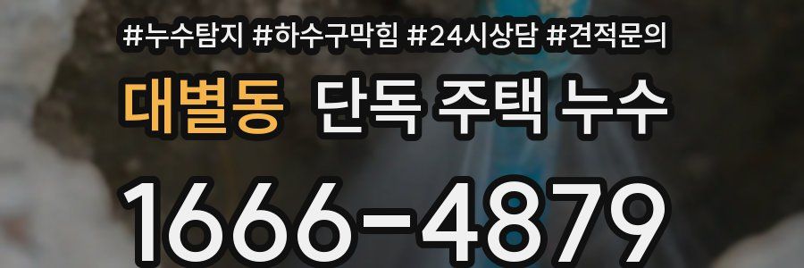 대별동 단독 주택 누수