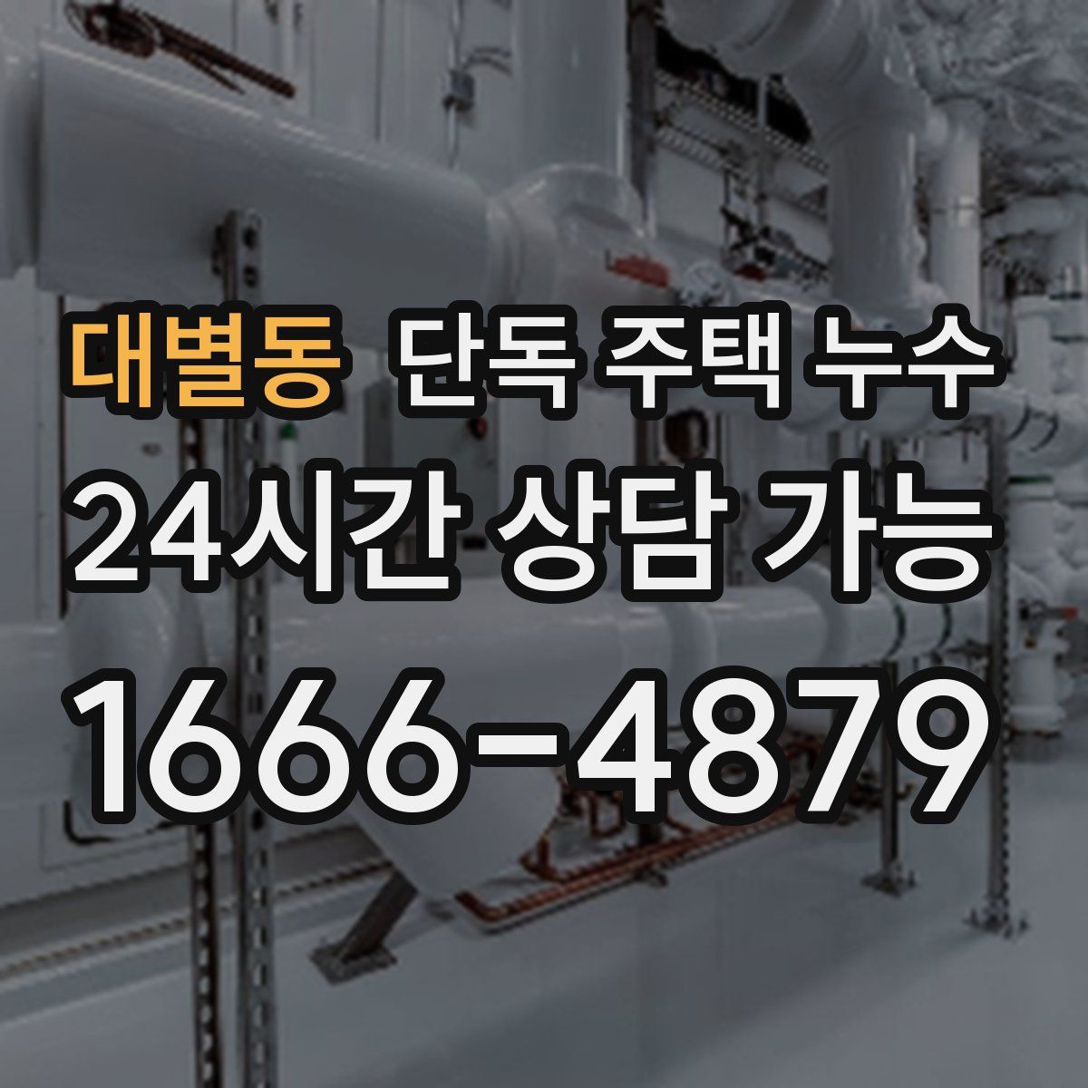 대별동 단독 주택 누수