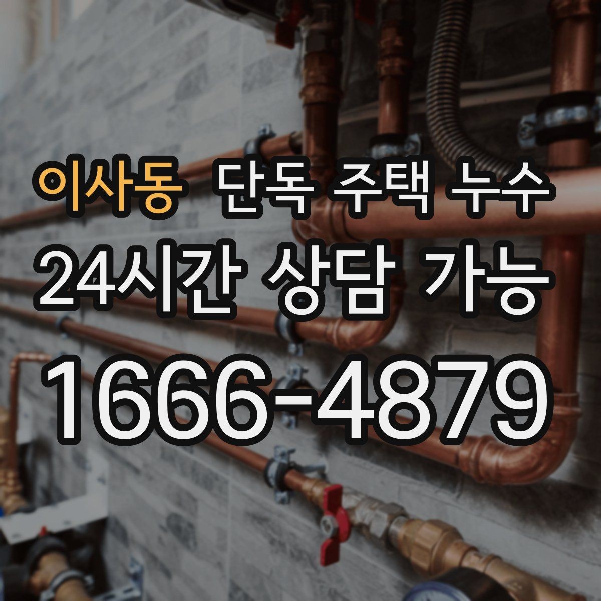 이사동 단독 주택 누수 가구·바닥 피해 줄이는 응급 대응