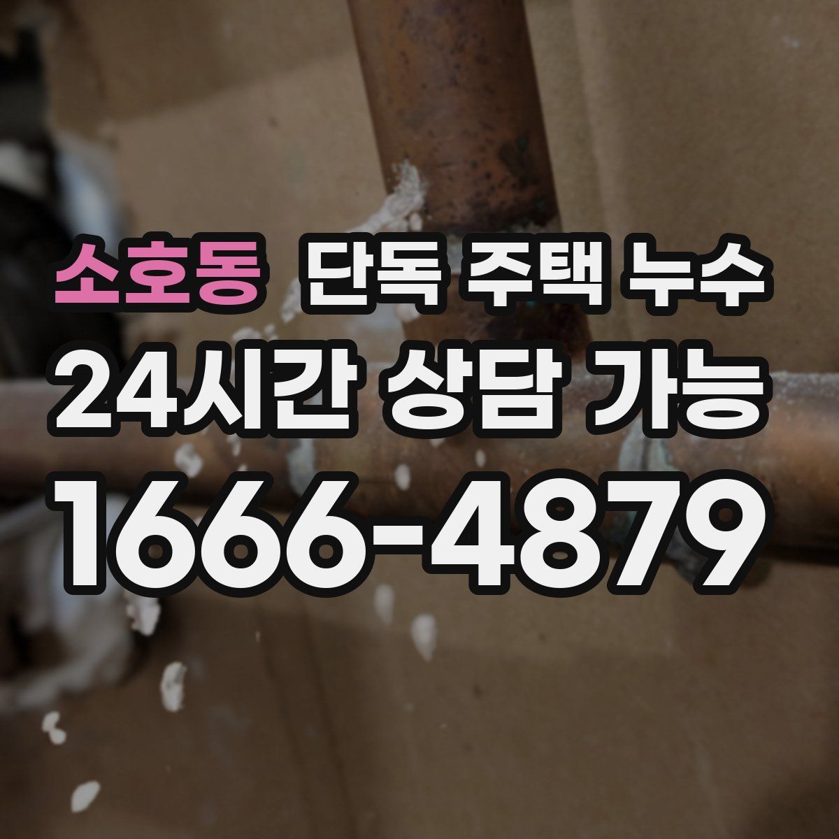 소호동 단독 주택 누수