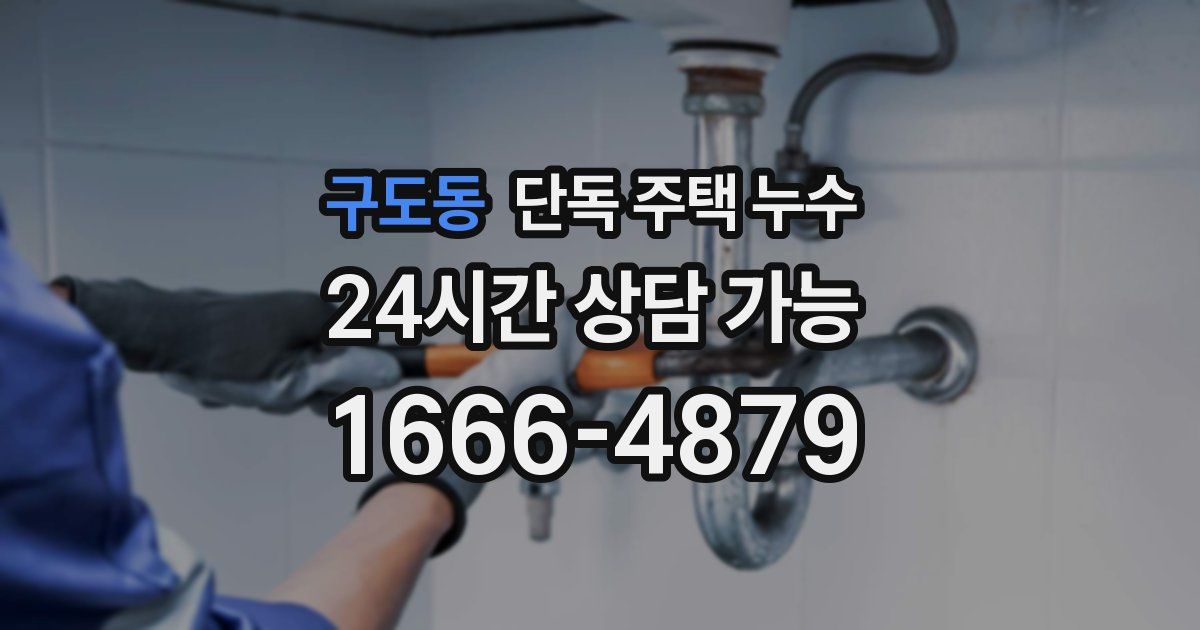 구도동 단독 주택 누수