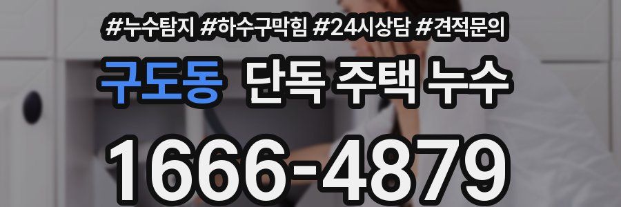 구도동 단독 주택 누수